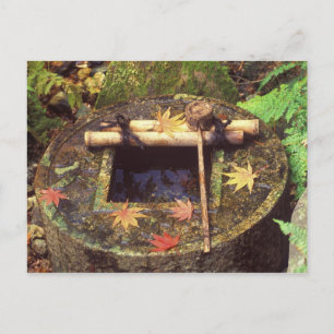 Spring for Tea Ceremony, Ryanji Temple, Kyoto, Postcard