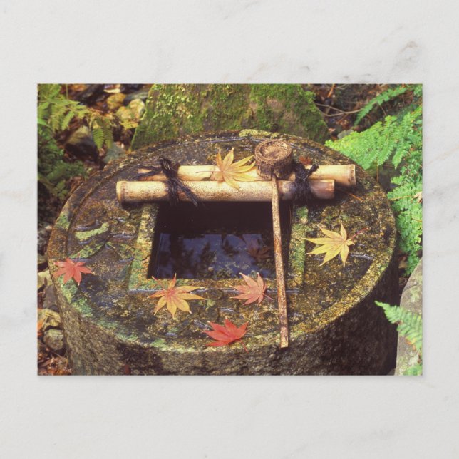 Spring for Tea Ceremony, Ryanji Temple, Kyoto, Postcard (Front)