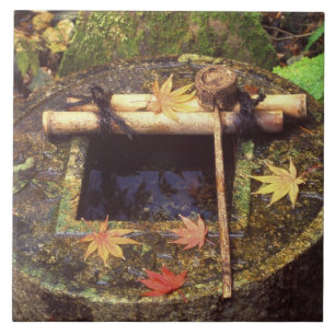 Spring for Tea Ceremony, Ryanji Temple, Kyoto, Tile