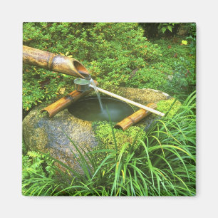 Spring for Tea Ceremony, Sanzen-in Temple, Magnet