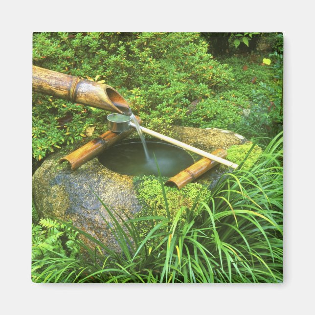 Spring for Tea Ceremony, Sanzen-in Temple, Magnet (Front)