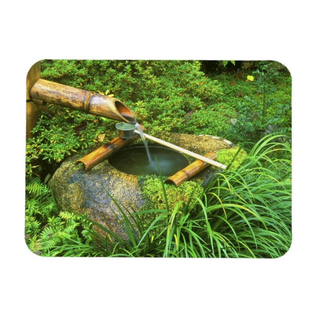Spring for Tea Ceremony, Sanzen-in Temple, Magnet (Horizontal)