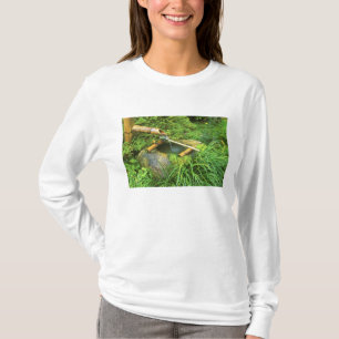 Spring for Tea Ceremony, Sanzen-in Temple, T-Shirt