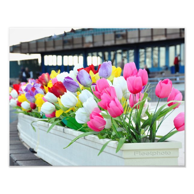 Spring Forward Photo Print (Front)