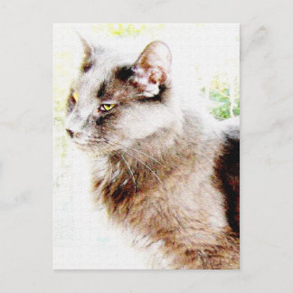 spring friend PoStCaRd! Postcard