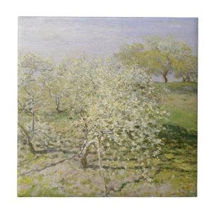 Spring Fruit Trees in Bloom Tile