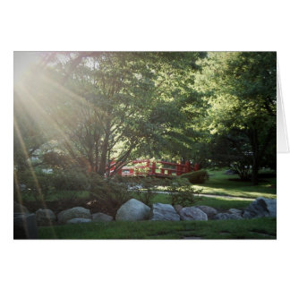 Spring Garden