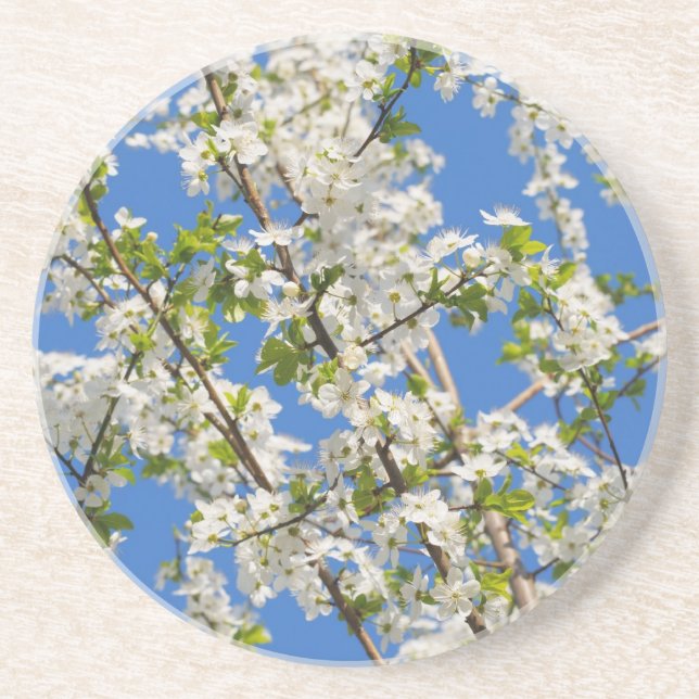 spring garden coaster (Front)