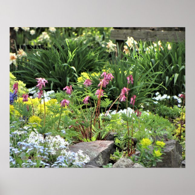 Spring Garden Perennials Poster (Front)