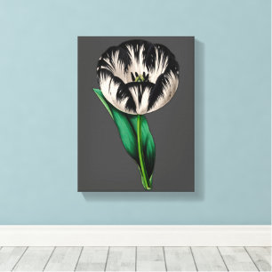 Spring Garden Tulip Flowers  Canvas Print