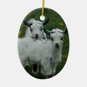 SPRING GOAT BABIES - CHRISTMAS ORNAMENTS