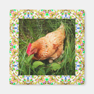 Spring Green and Easter Pink Blue Square Frame Magnet