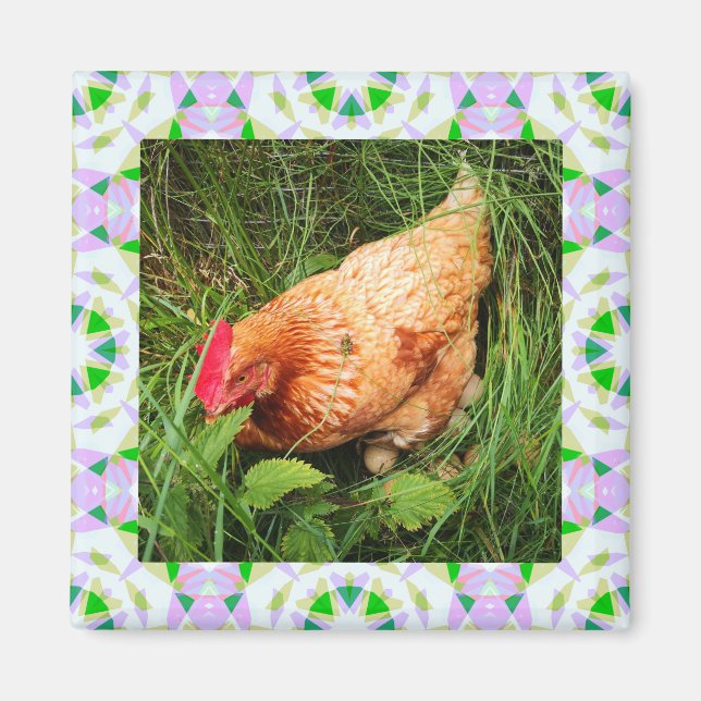 Spring Green and Easter Pink Star Square Frame Magnet (Front)