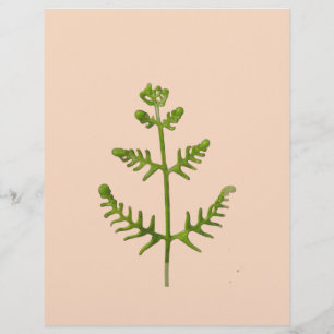 spring green custom letterhead