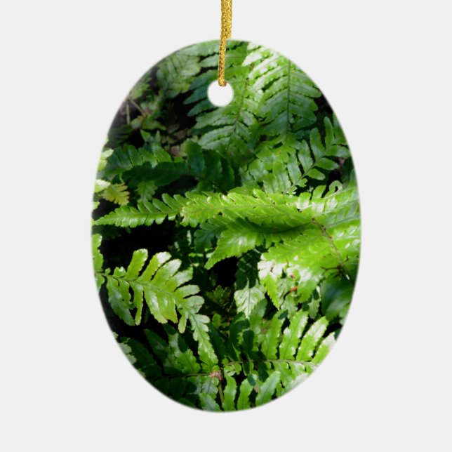 Spring Green Ferns boho botanical  Ceramic Tree Decoration (Front)