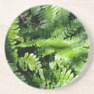 Spring Green Ferns boho botanical  Coaster