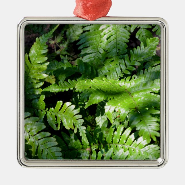Spring Green Ferns boho botanical  Metal Tree Decoration (Front)