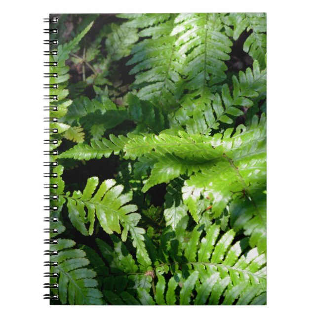 Spring Green Ferns boho botanical  Notebook (Front)