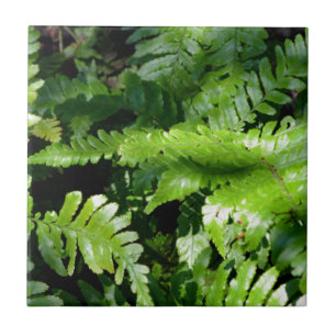 Spring Green Ferns botanical green forest view Tile