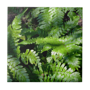 Spring Green Ferns botanical green forest view Tile