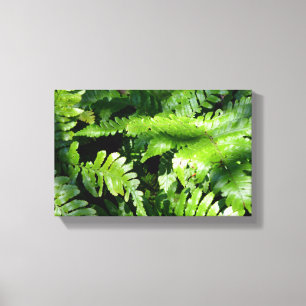 Spring Green Ferns Canvas Print