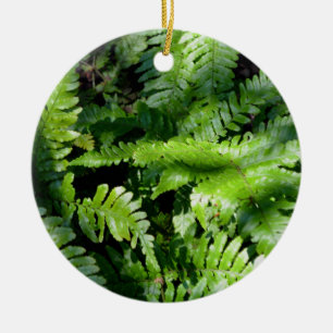 Spring Green Ferns Ceramic Tree Decoration