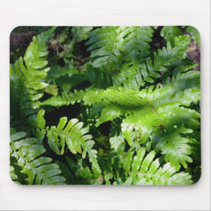 Spring Green Ferns Mouse Mat