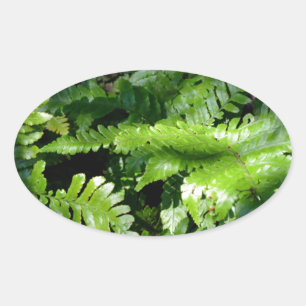 Spring Green Ferns tropical botanical greenery Oval Sticker