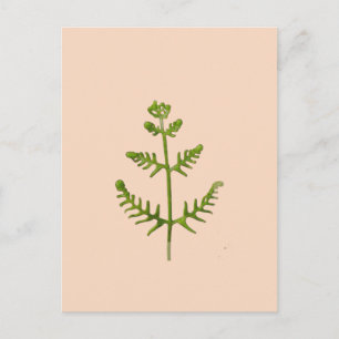 spring green holiday postcard