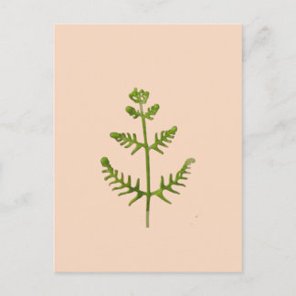 spring green holiday postcard