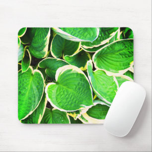 Spring green Hosta leaves Mouse Mat