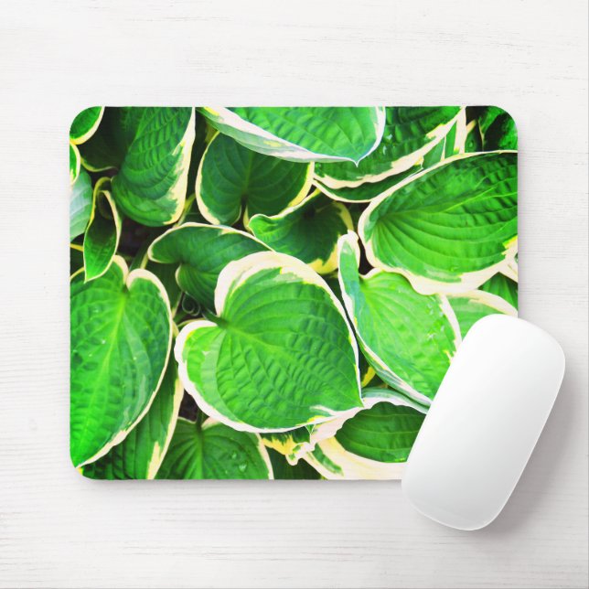 Spring green Hosta leaves Mouse Mat (With Mouse)