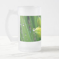 spring green lily buds