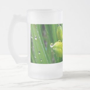 spring green lily buds frosted glass beer mug
