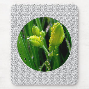 spring green lily buds mouse mat