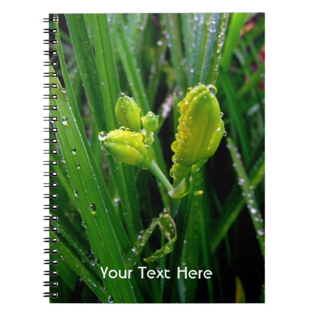 spring green lily buds notebook (Front)