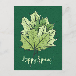 Spring Green Maple Leaves Nature Lover Postcard