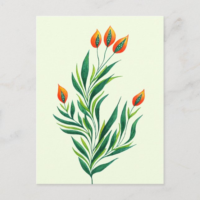 Spring Green Plant With Orange Buds Postcard (Front)