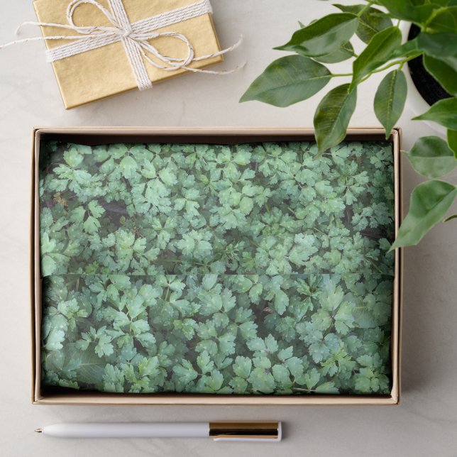 Spring Green Plants Leaves Peaceful Hanami        Tissue Paper (Gift)