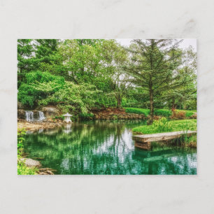 Spring Green Reflections Postcard