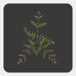 spring green square sticker