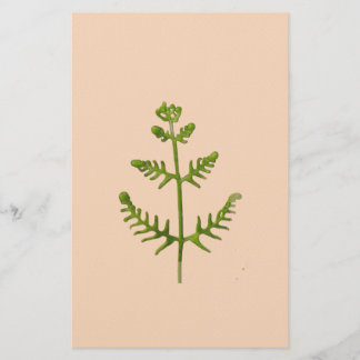 spring green stationery