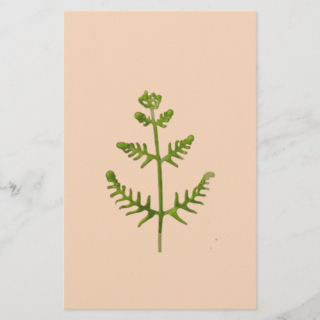 spring green  stationery (Front)