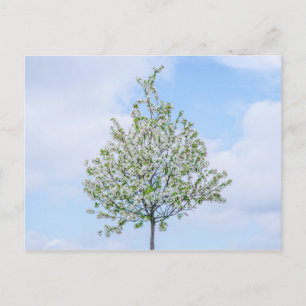 Spring - Happy Easter Holiday Postcard