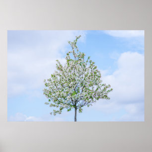 Spring - Happy Easter Poster