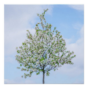 Spring - Happy Easter Poster