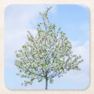 Spring - Happy Easter Square Paper Coaster