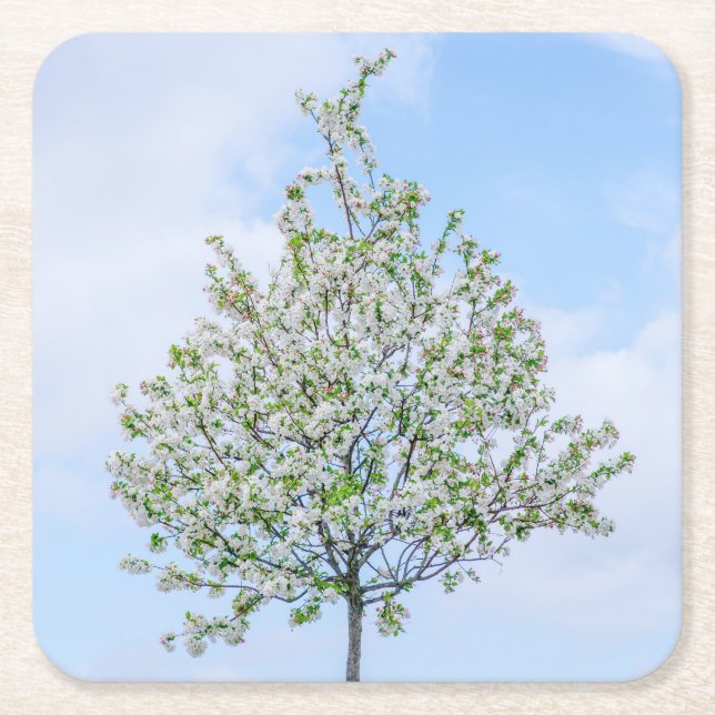 Spring - Happy Easter Square Paper Coaster (Front)