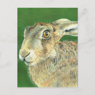 Spring Hare Postcard