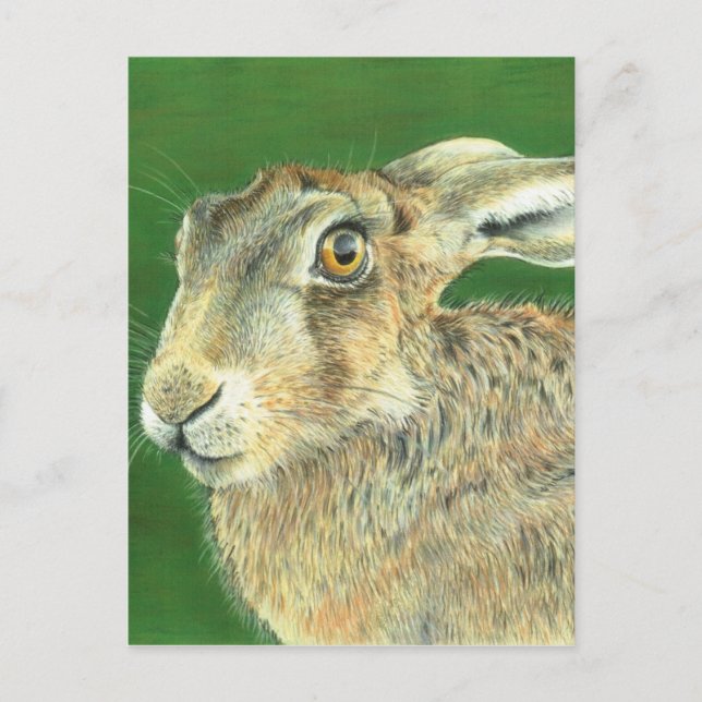 Spring Hare Postcard (Front)